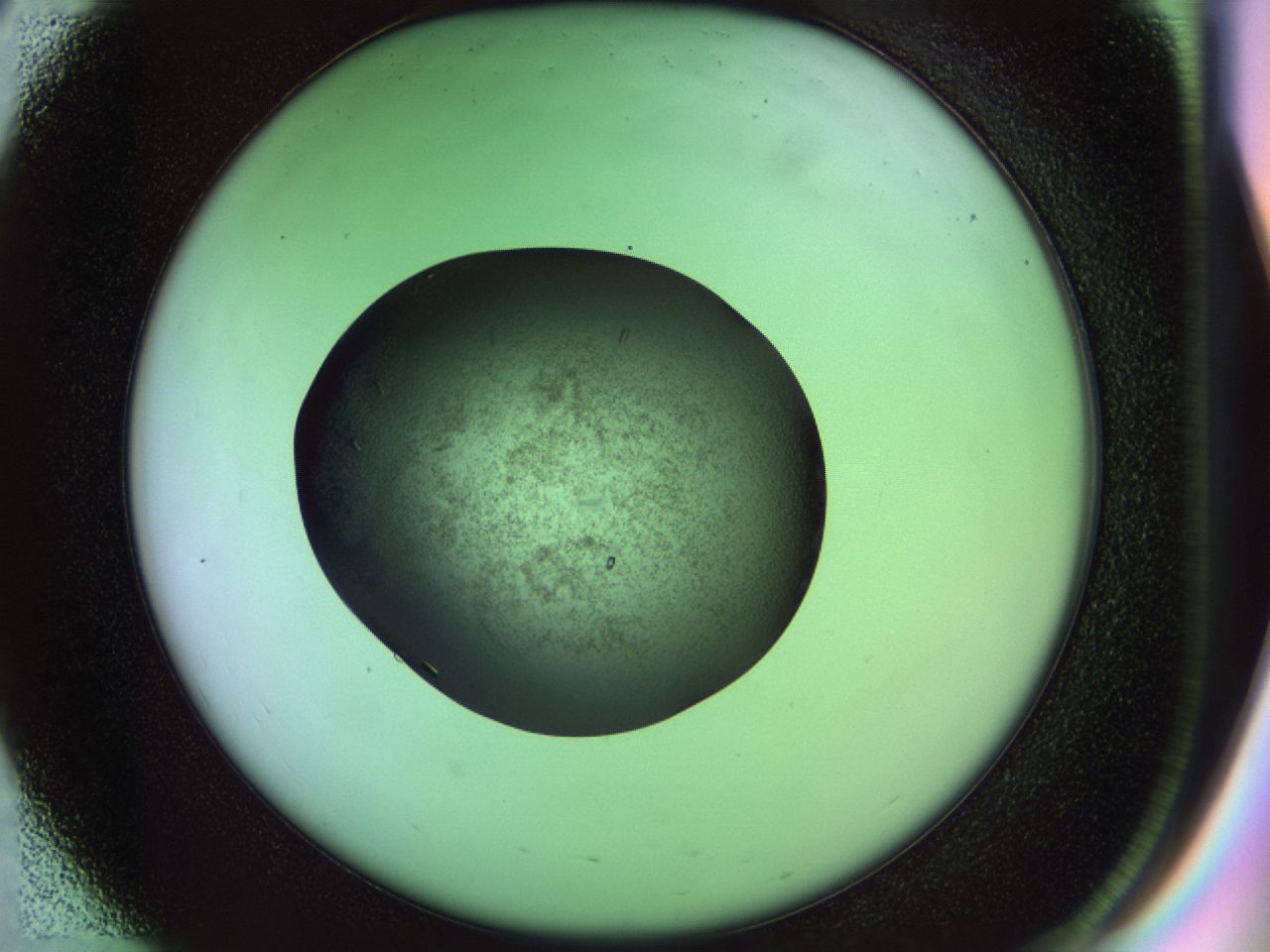 02ku_E3_ImagerDefaults_9.jpg