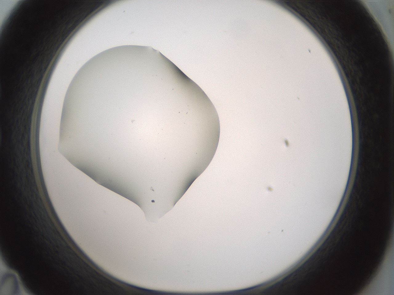 folderID407_plateID1407_batchID5149_wellNum35_profileID1_d1_r86068_ef.jpg