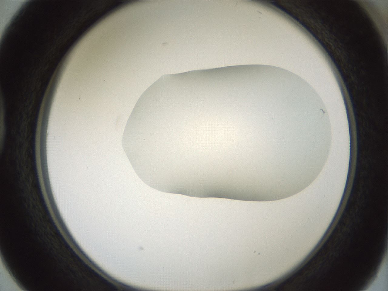 folderID407_plateID1407_batchID5149_wellNum38_profileID1_d1_r86071_ef.jpg