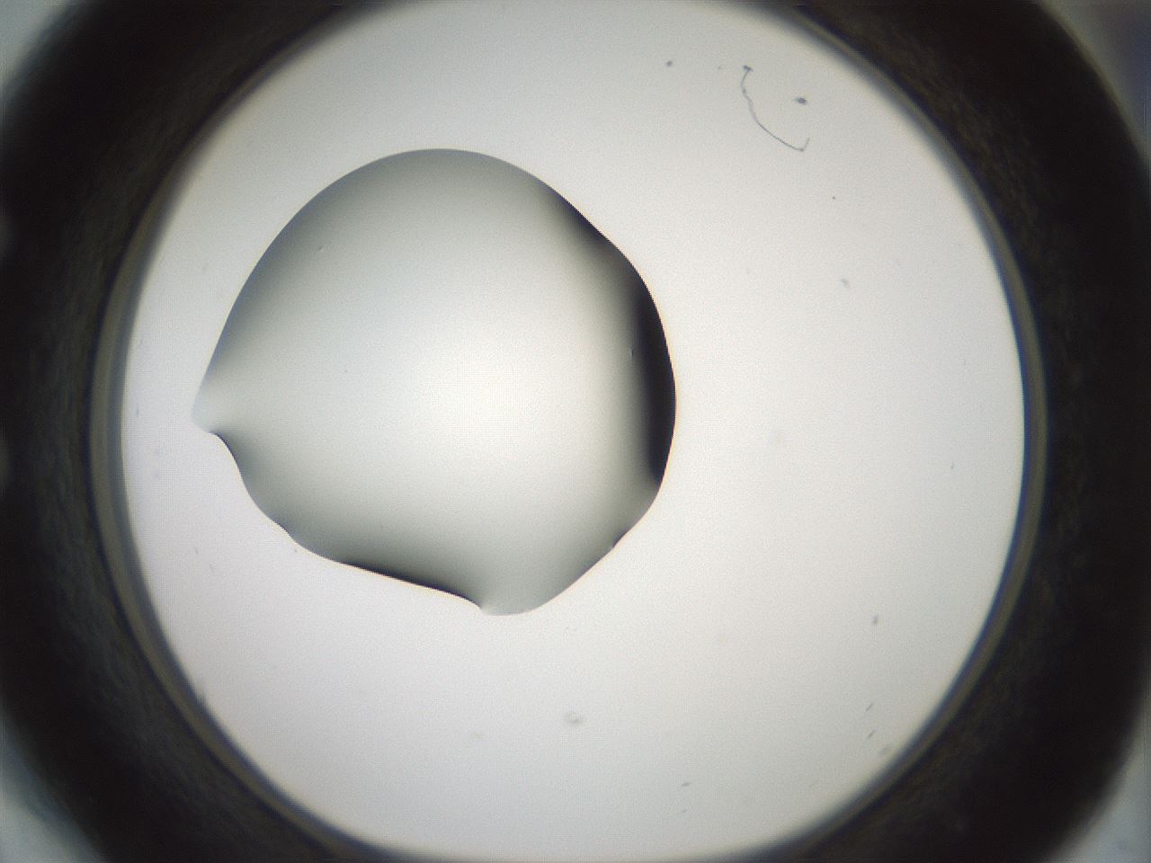 folderID407_plateID1407_batchID5149_wellNum54_profileID1_d1_r86087_ef.jpg