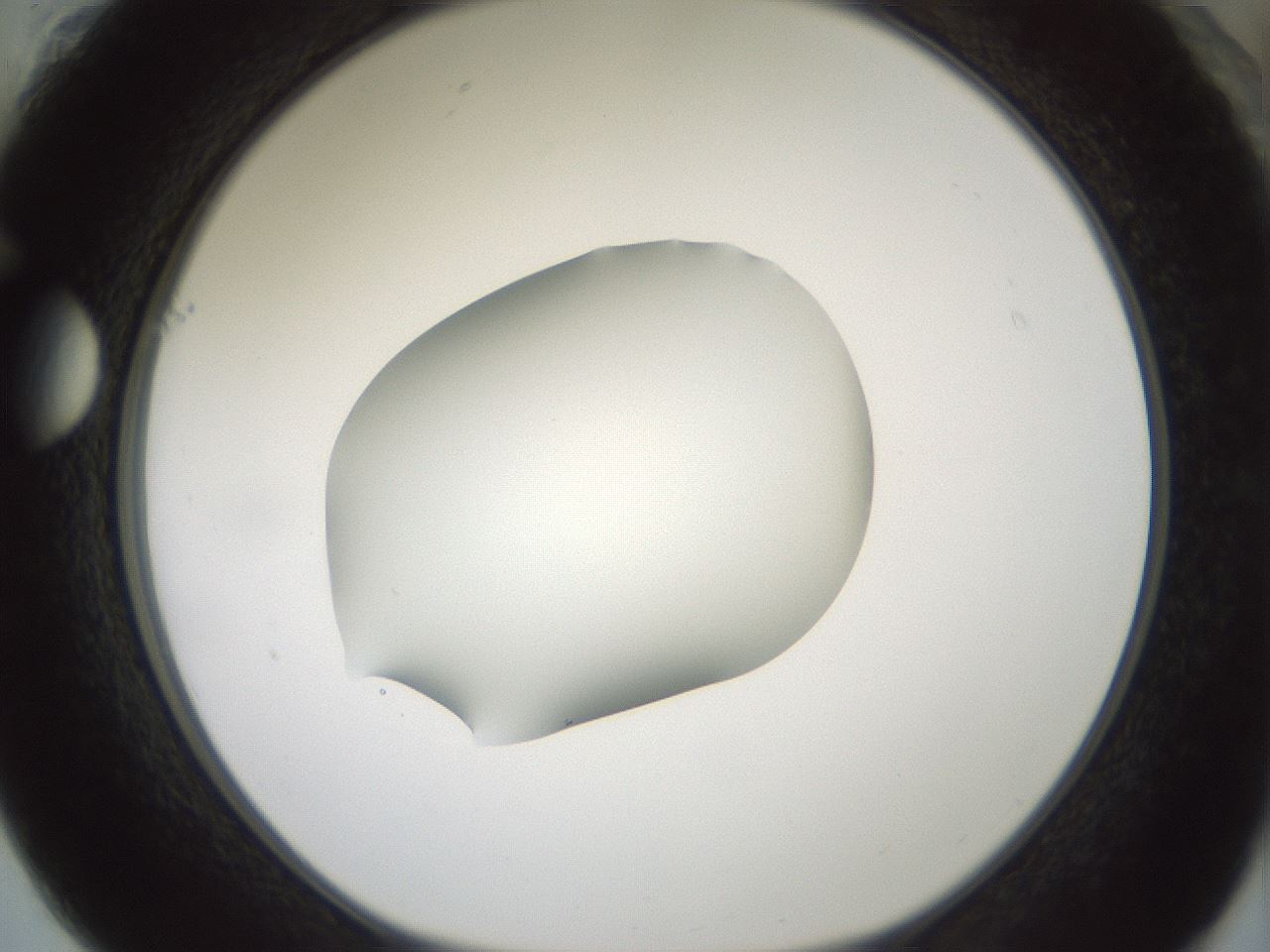 folderID407_plateID1407_batchID5149_wellNum61_profileID1_d1_r86094_ef.jpg