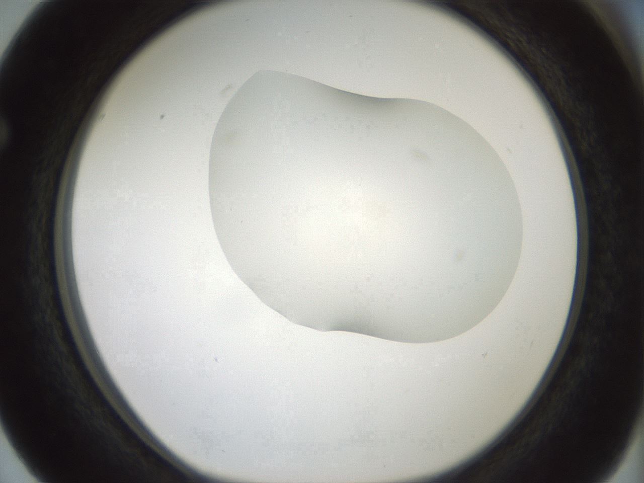 folderID407_plateID1407_batchID5149_wellNum63_profileID1_d1_r86096_ef.jpg