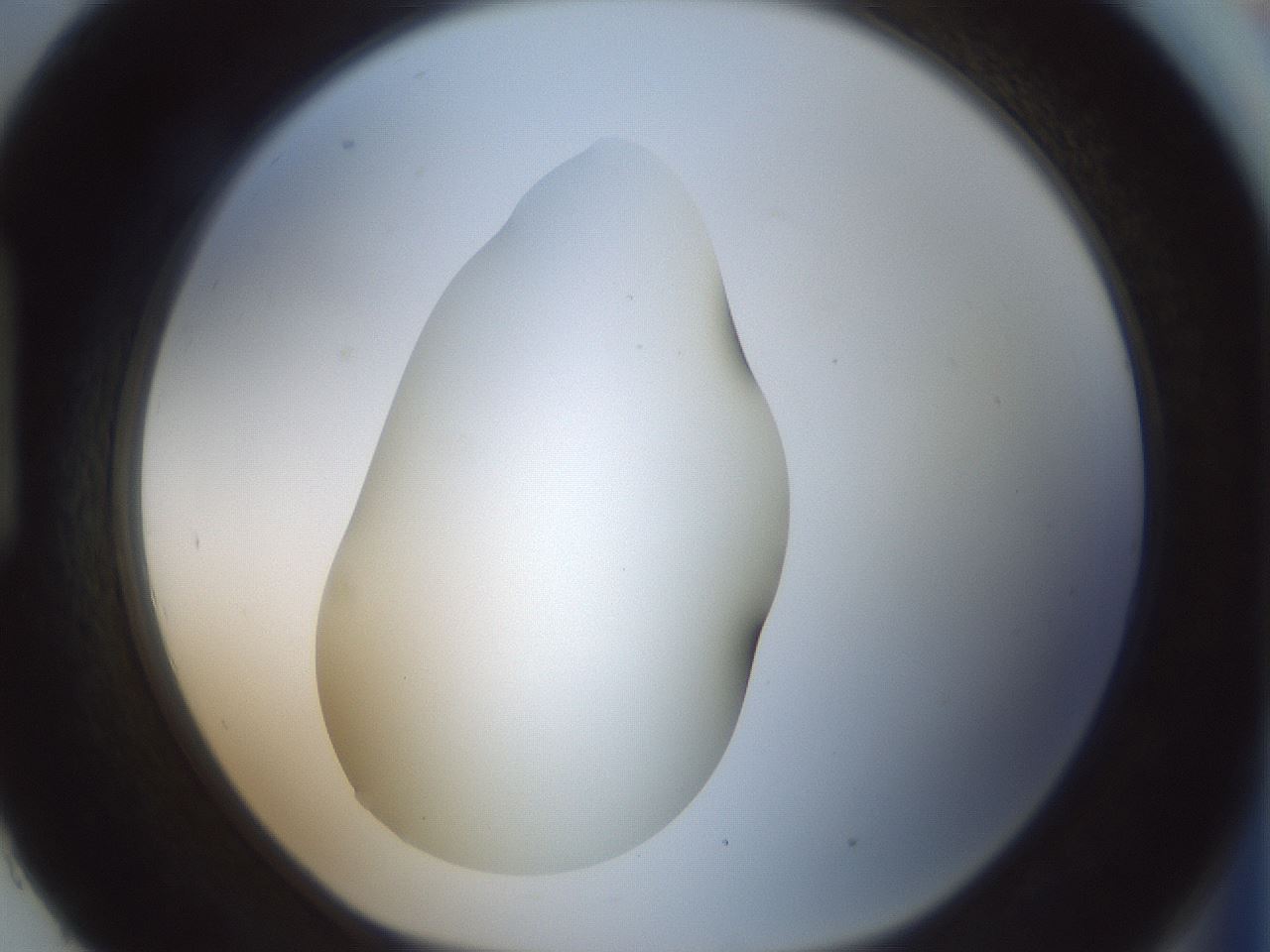 folderID407_plateID1407_batchID5149_wellNum93_profileID1_d1_r86126_ef.jpg