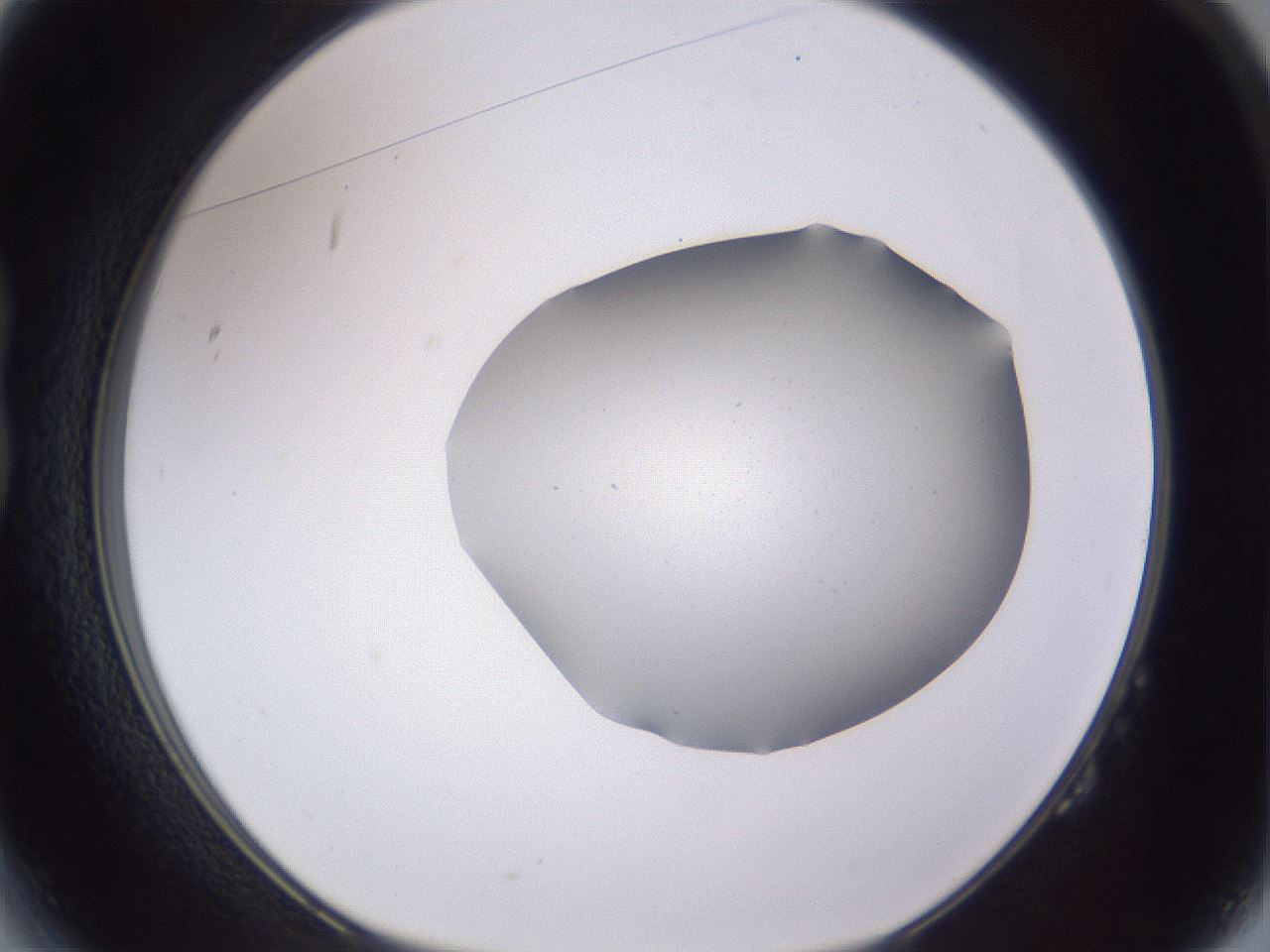 folderID407_plateID2407_batchID11616_wellNum14_profileID1_d1_r178749_ef.jpg