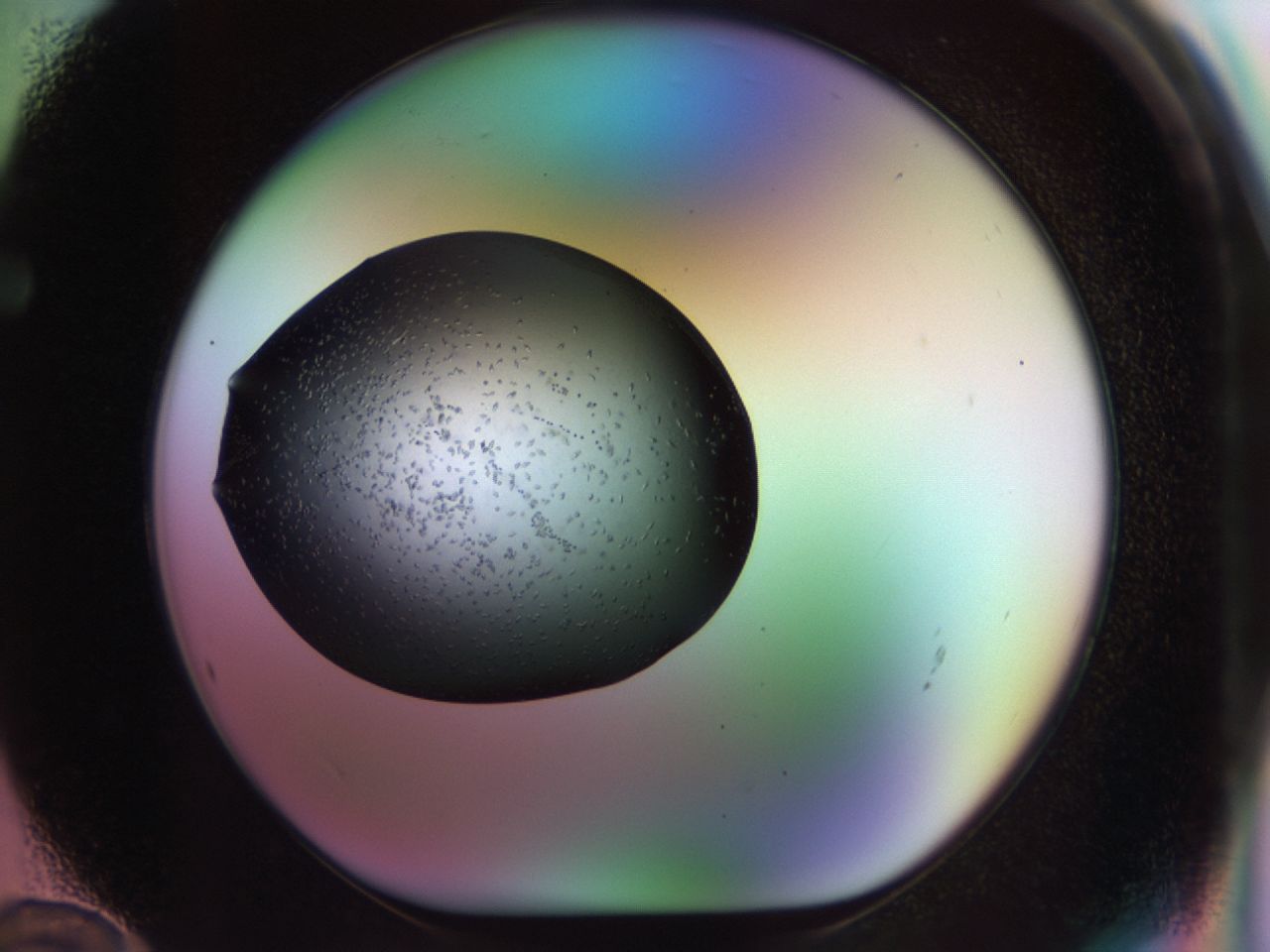 02ku_F12_ImagerDefaults_9.jpg