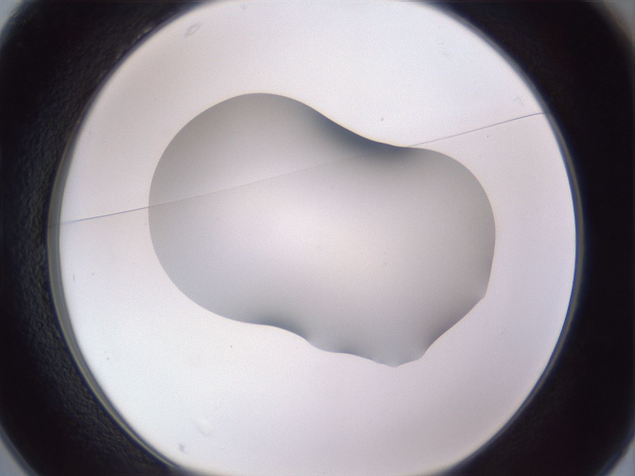 folderID407_plateID2407_batchID11616_wellNum25_profileID1_d1_r178771_ef.jpg