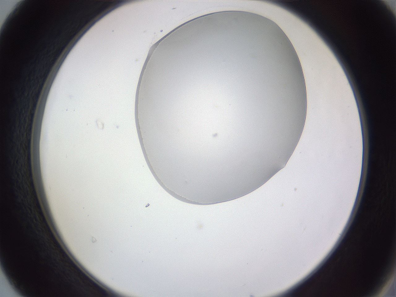 folderID407_plateID2407_batchID11616_wellNum40_profileID1_d2_r178802_ef.jpg