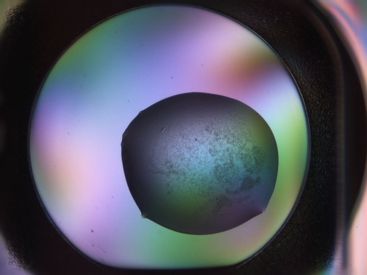 02ku_G3_ImagerDefaults_9.jpg