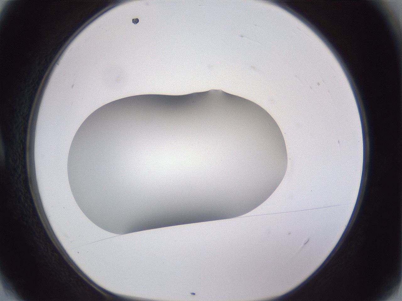 folderID407_plateID2407_batchID11616_wellNum4_profileID1_d1_r178729_ef.jpg