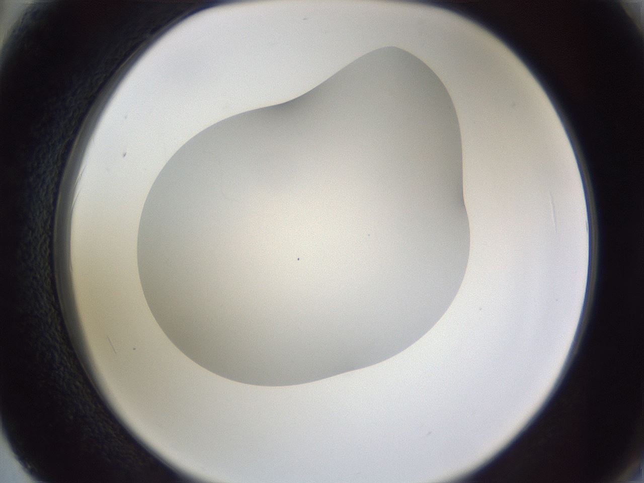 folderID407_plateID2407_batchID11616_wellNum62_profileID1_d2_r178846_ef.jpg