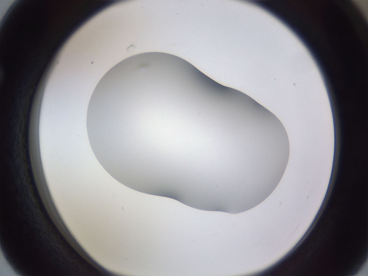 folderID407_plateID2407_batchID11616_wellNum63_profileID1_d1_r178847_ef.jpg