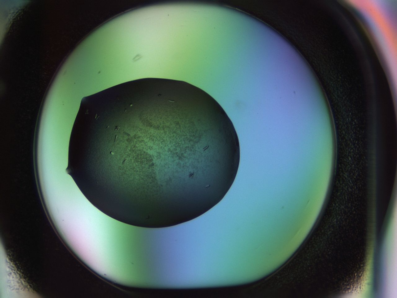 02ku_F3_ImagerDefaults_9.jpg