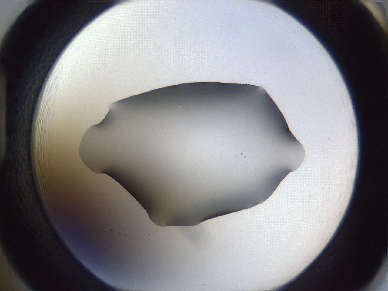 folderID407_plateID2407_batchID11616_wellNum85_profileID1_d1_r178891_ef.jpg