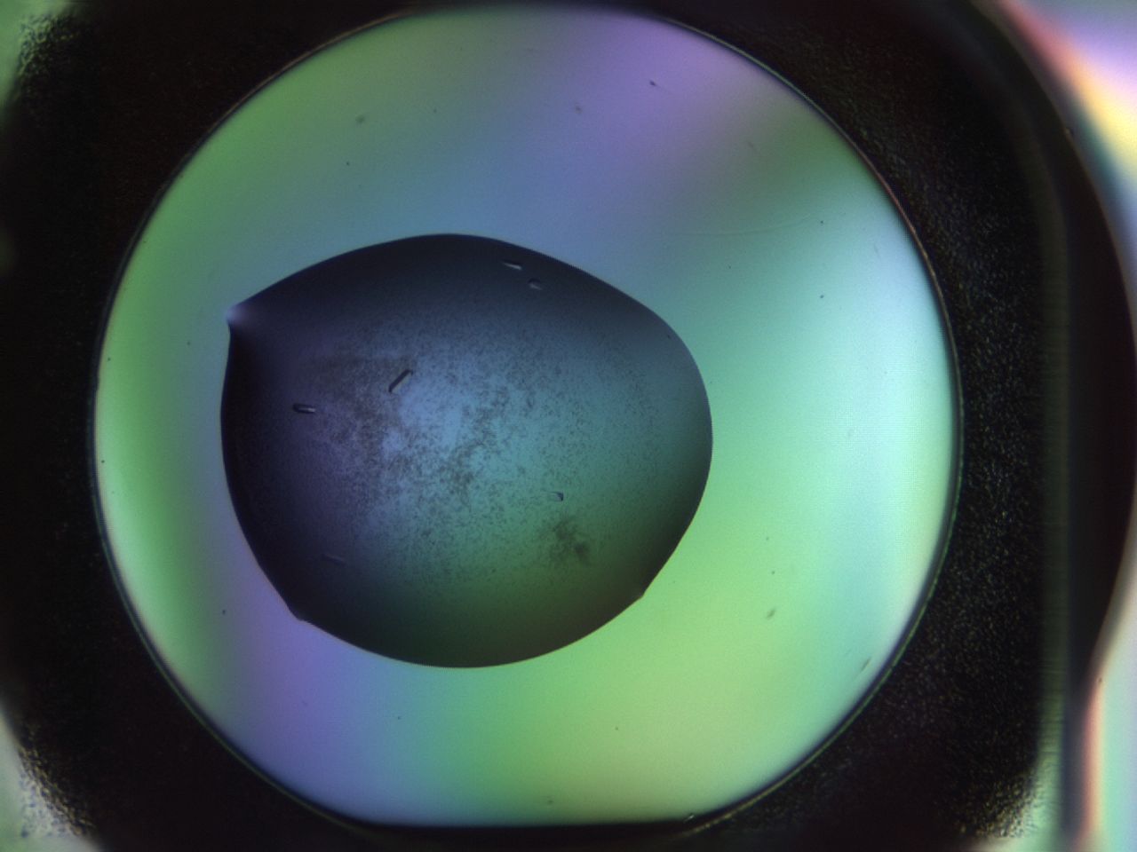 02ku_F2_ImagerDefaults_9.jpg