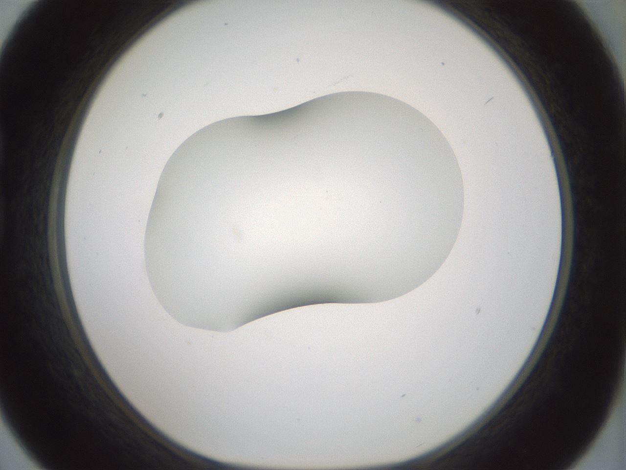 folderID408_plateID1408_batchID5150_wellNum21_profileID1_d1_r86150_ef.jpg