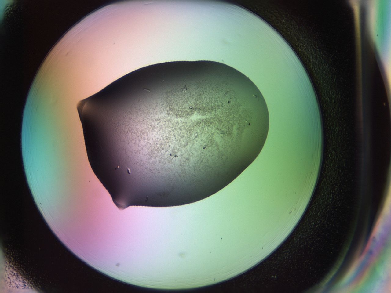 02ku_H1_ImagerDefaults_9.jpg