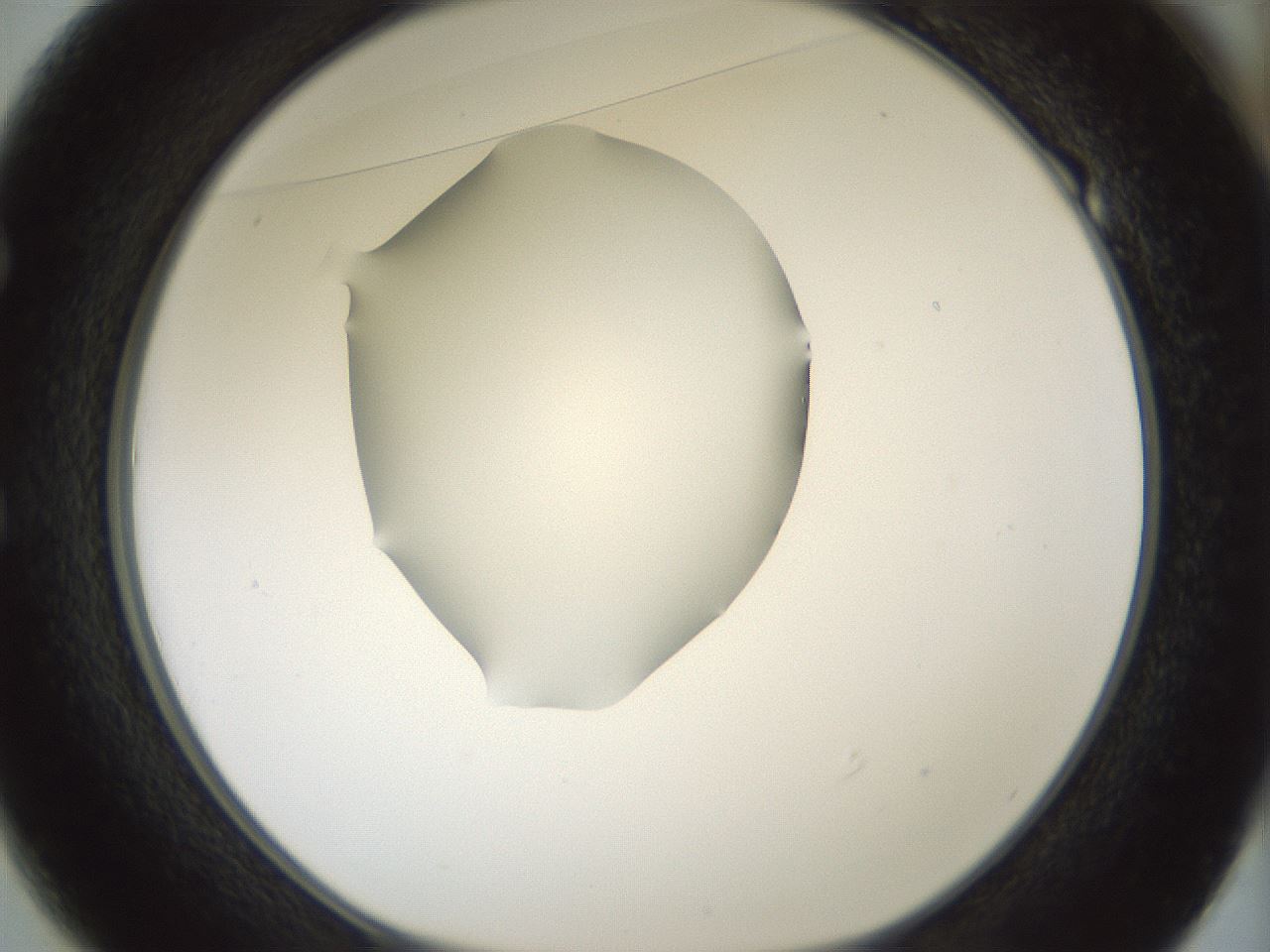 folderID408_plateID1408_batchID5150_wellNum49_profileID1_d1_r86178_ef.jpg