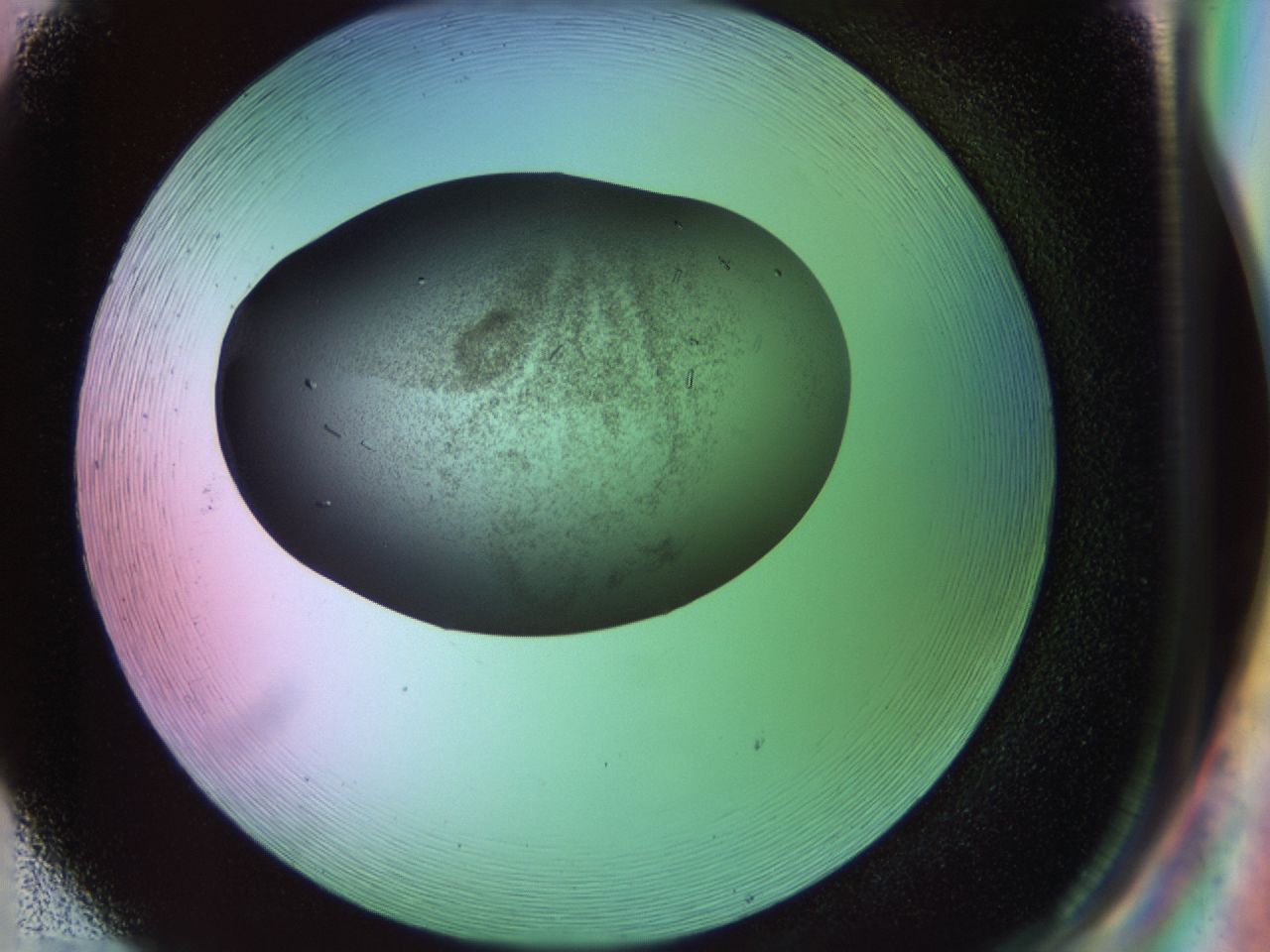 02ku_H2_ImagerDefaults_9.jpg