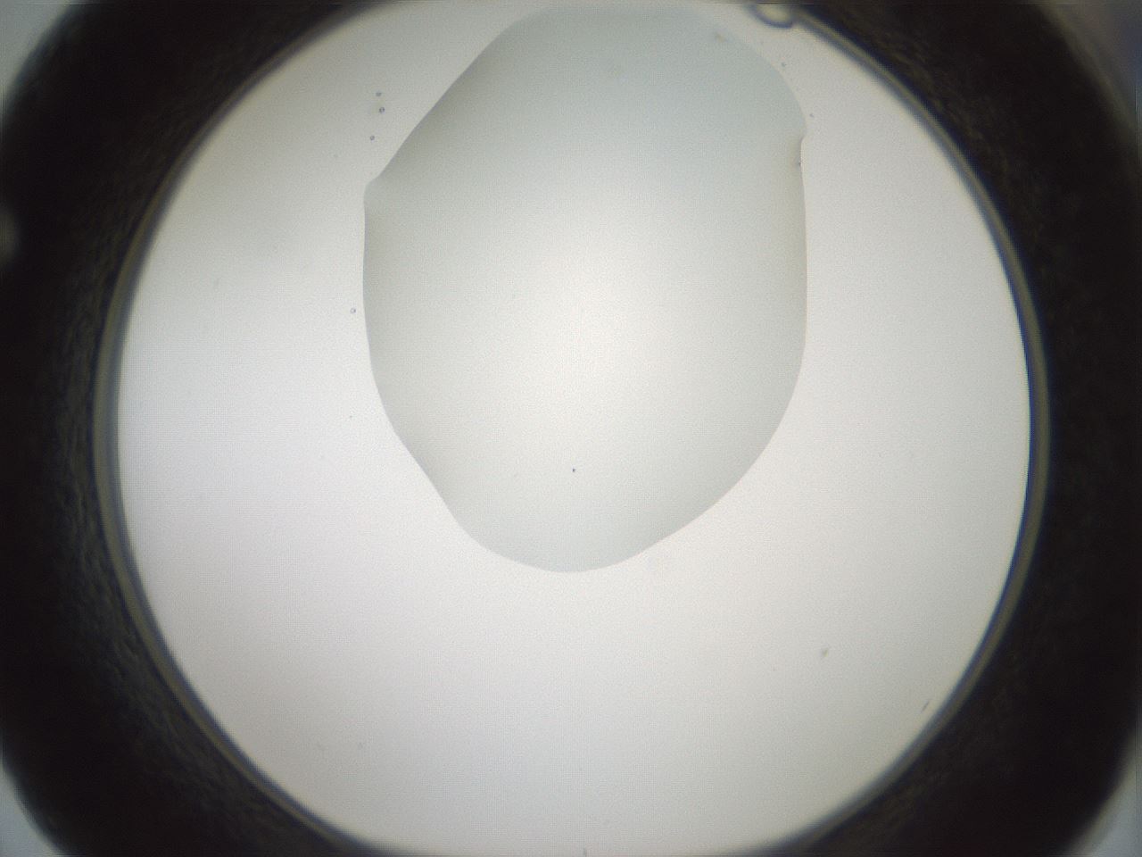 folderID408_plateID1408_batchID5150_wellNum62_profileID1_d1_r86191_ef.jpg