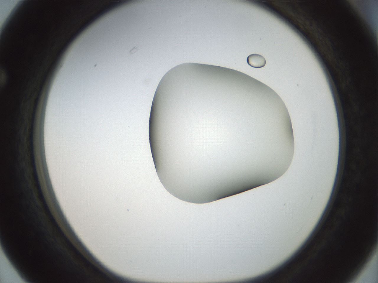 folderID156_plateID1156_batchID3128_wellNum63_profileID1_d1_r63707_ef.jpg
