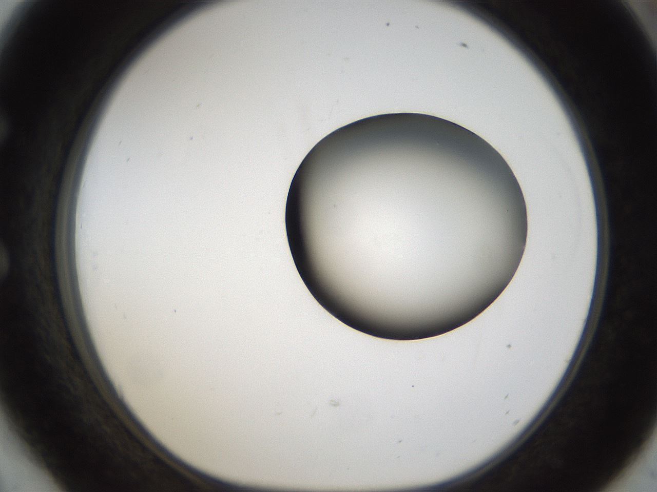 folderID160_plateID1160_batchID3204_wellNum54_profileID1_d1_r62345_ef.jpg
