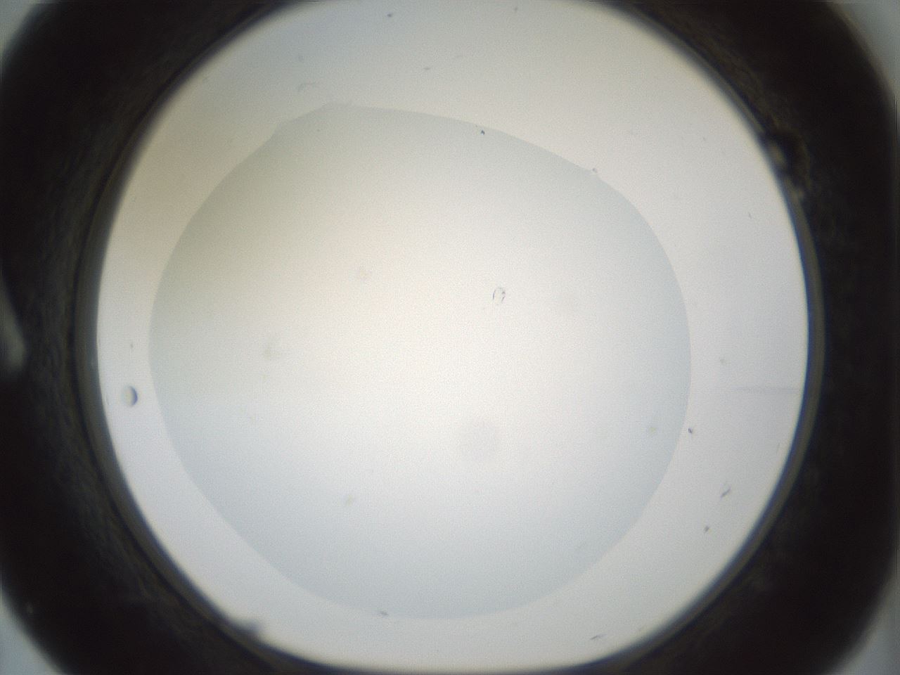 folderID408_plateID1408_batchID5150_wellNum7_profileID1_d1_r86136_ef.jpg
