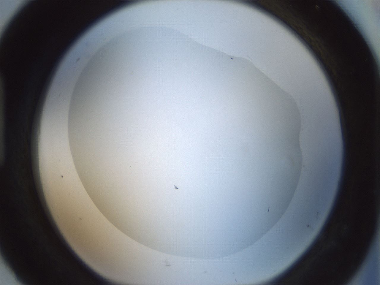 folderID408_plateID1408_batchID5150_wellNum92_profileID1_d1_r86221_ef.jpg