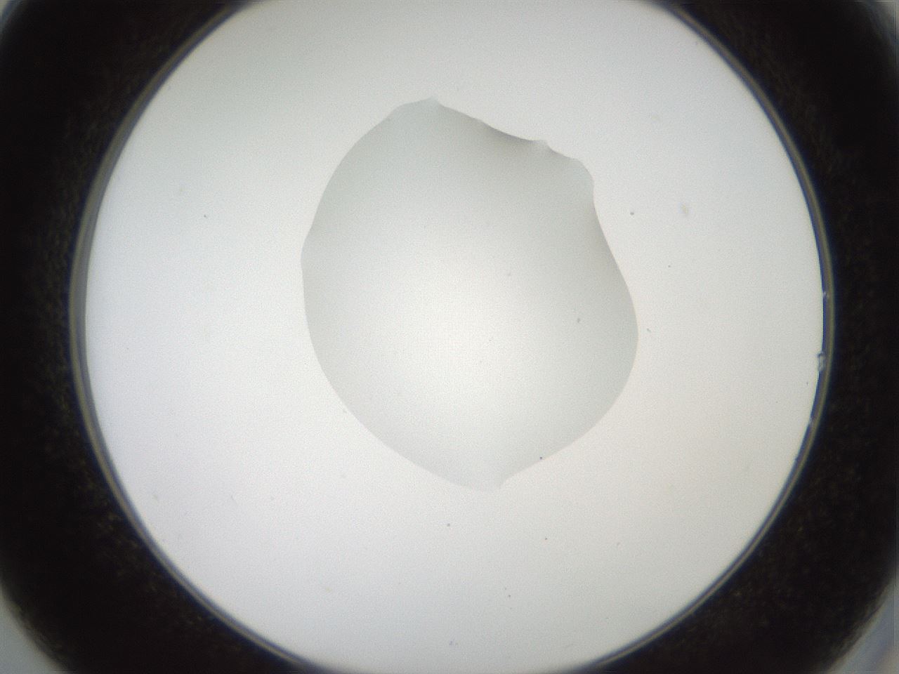 folderID408_plateID2408_batchID11615_wellNum14_profileID1_d2_r178558_ef.jpg