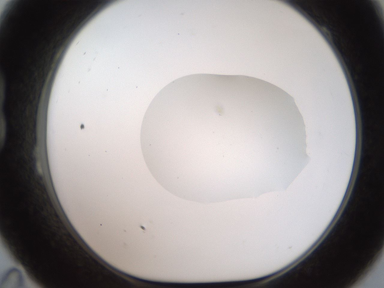 folderID408_plateID2408_batchID11615_wellNum23_profileID1_d1_r178575_ef.jpg
