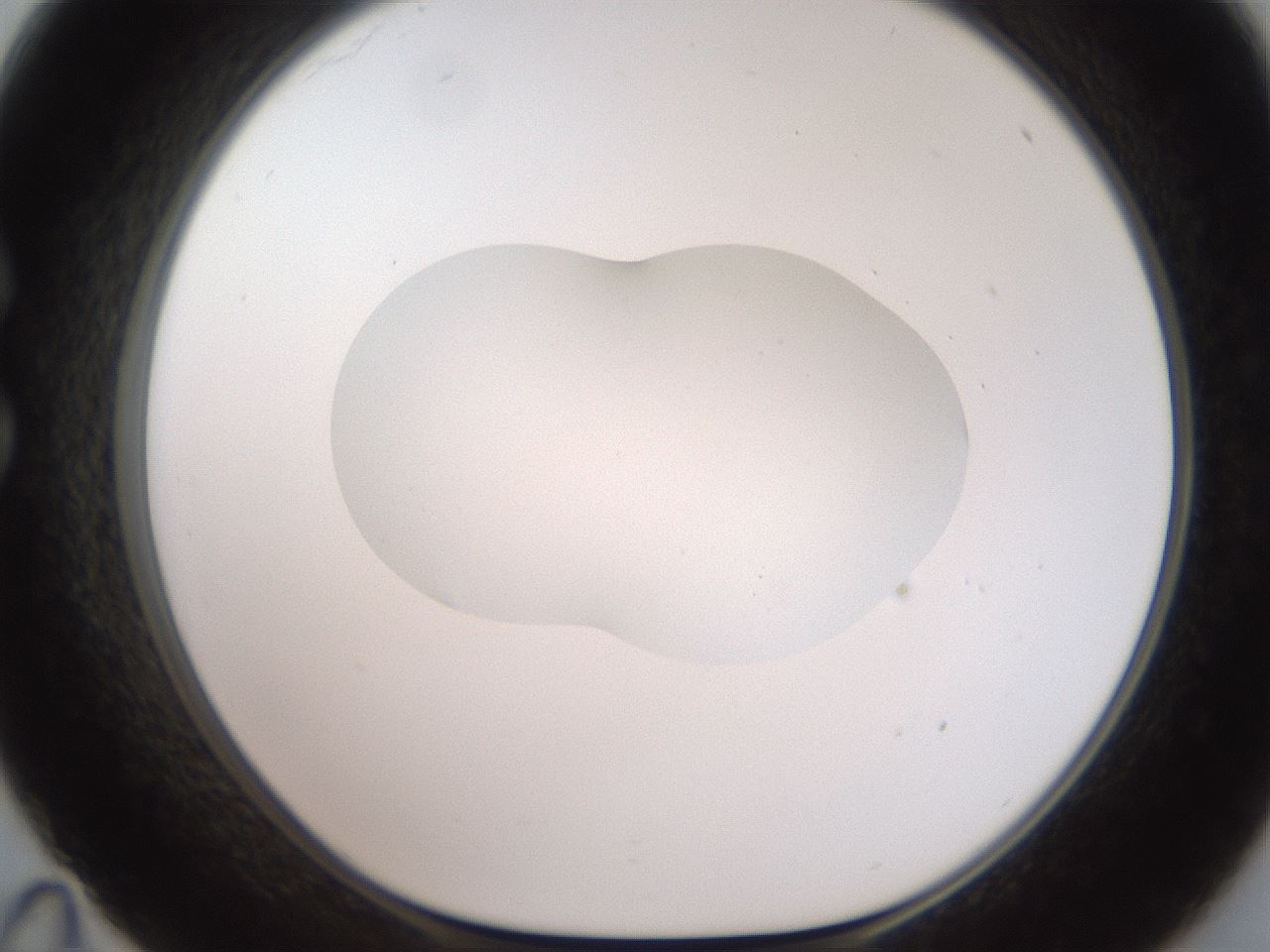 folderID408_plateID2408_batchID11615_wellNum35_profileID1_d1_r178599_ef.jpg