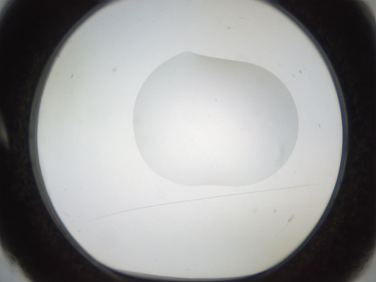 folderID408_plateID2408_batchID11615_wellNum4_profileID1_d1_r178537_ef.jpg