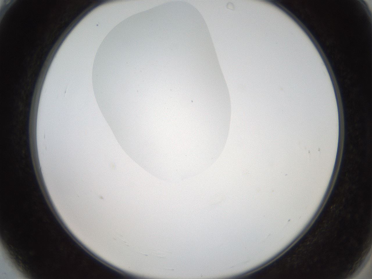 folderID408_plateID2408_batchID11615_wellNum4_profileID1_d2_r178538_ef.jpg