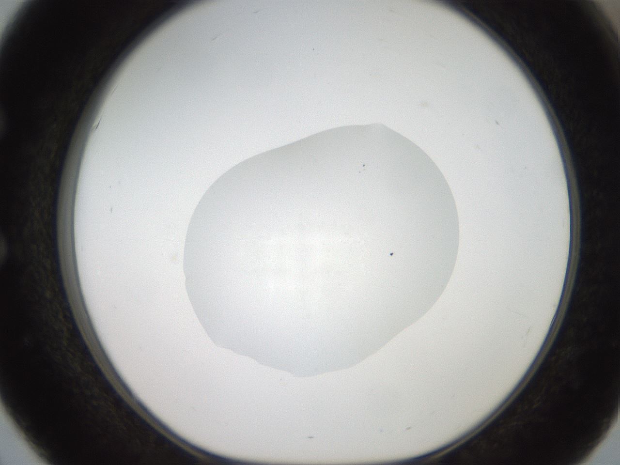 folderID408_plateID2408_batchID11615_wellNum51_profileID1_d1_r178631_ef.jpg