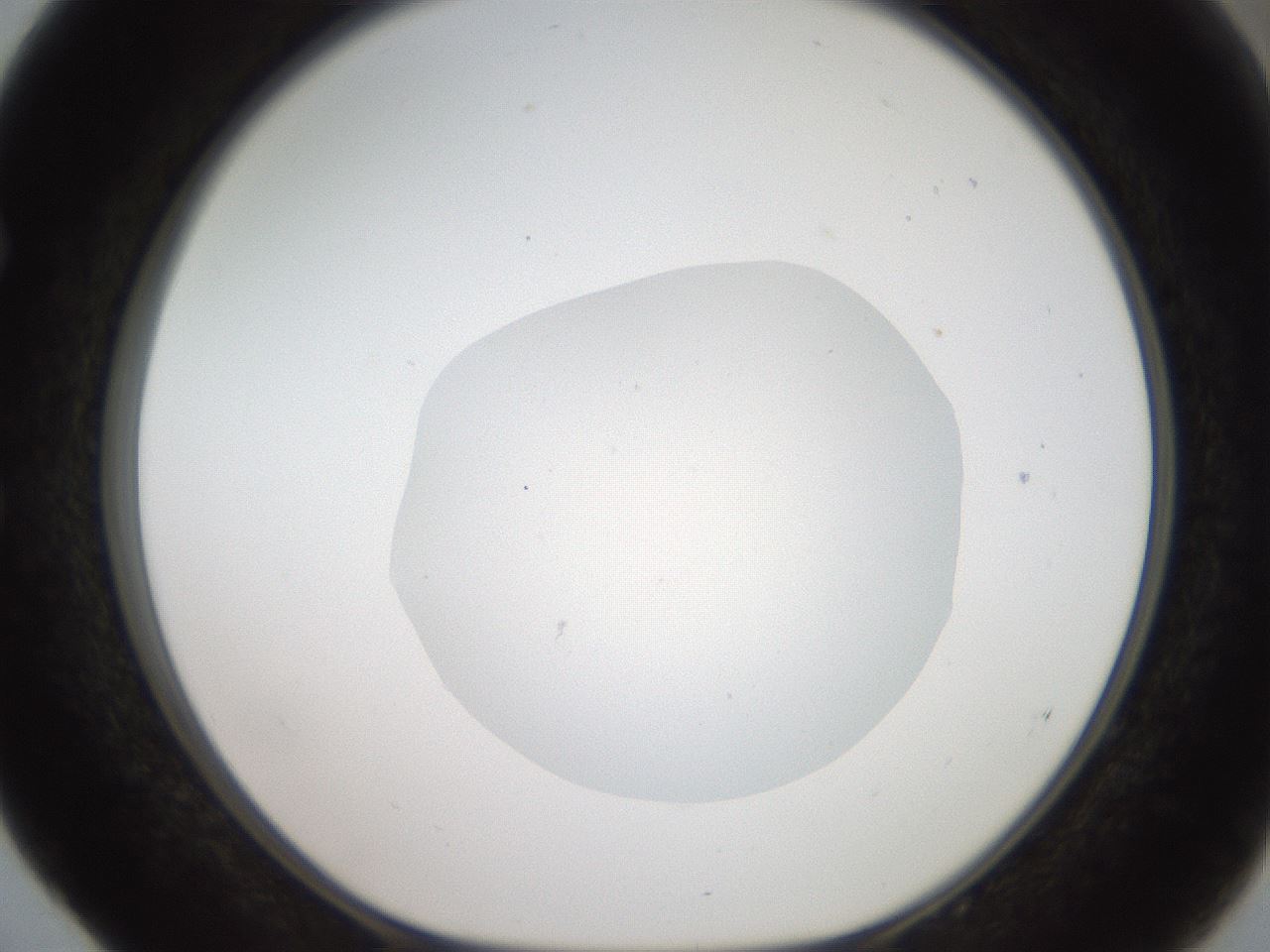 folderID408_plateID2408_batchID11615_wellNum52_profileID1_d1_r178633_ef.jpg
