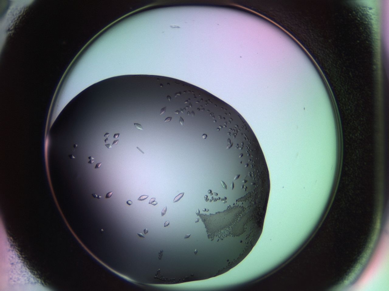 02kw_B5_ImagerDefaults_9.jpg