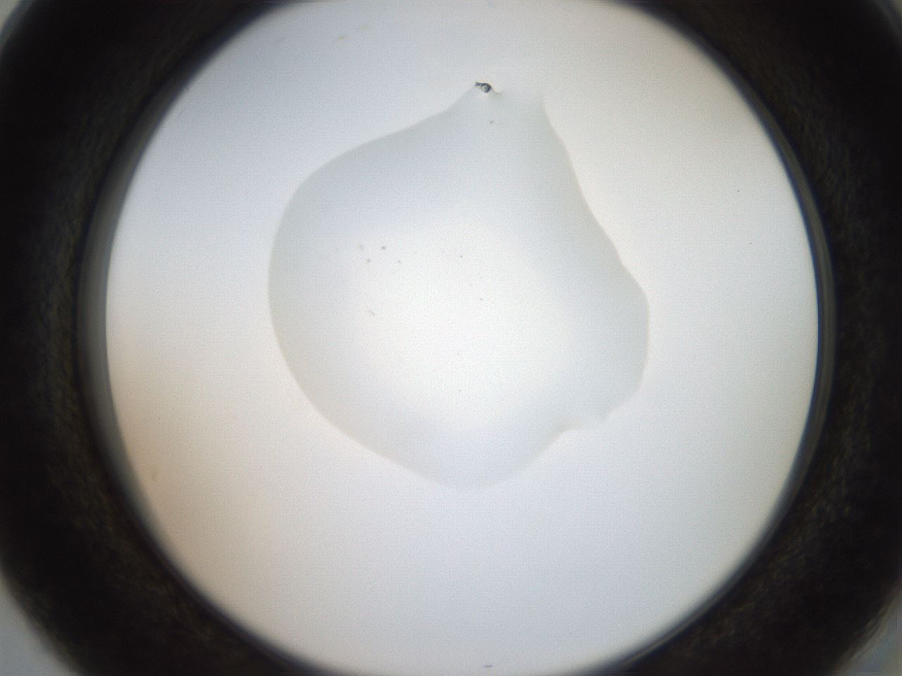 folderID408_plateID2408_batchID11615_wellNum80_profileID1_d2_r178690_ef.jpg
