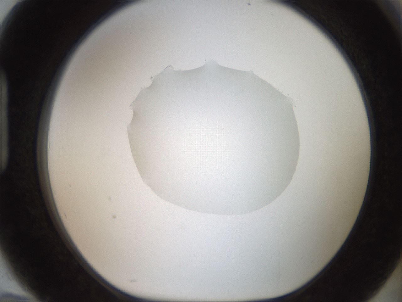folderID408_plateID2408_batchID11615_wellNum94_profileID1_d1_r178717_ef.jpg
