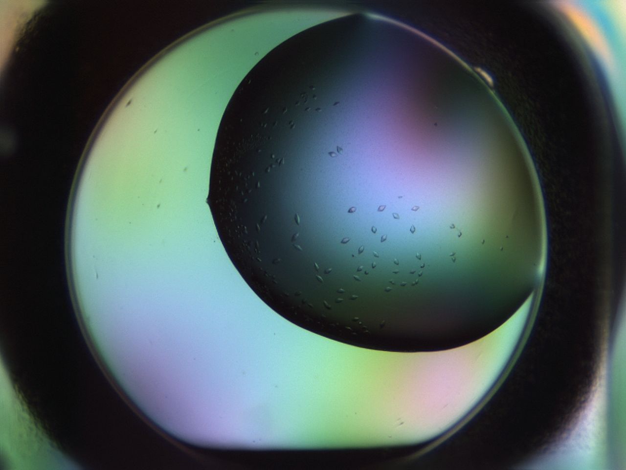 02kw_F9_ImagerDefaults_9.jpg