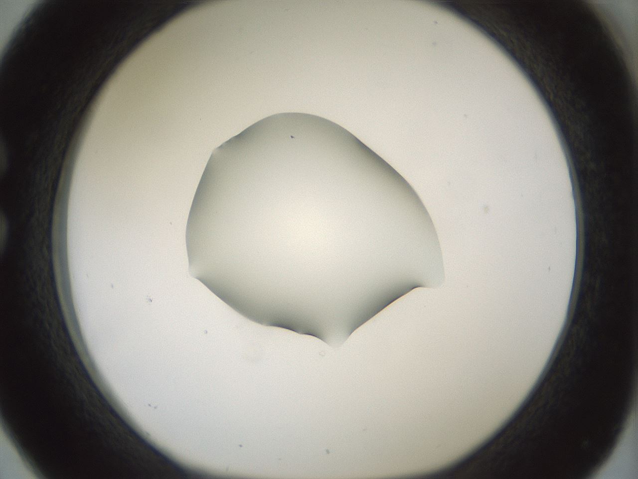 folderID409_plateID1409_batchID5184_wellNum26_profileID1_d1_r86443_ef.jpg