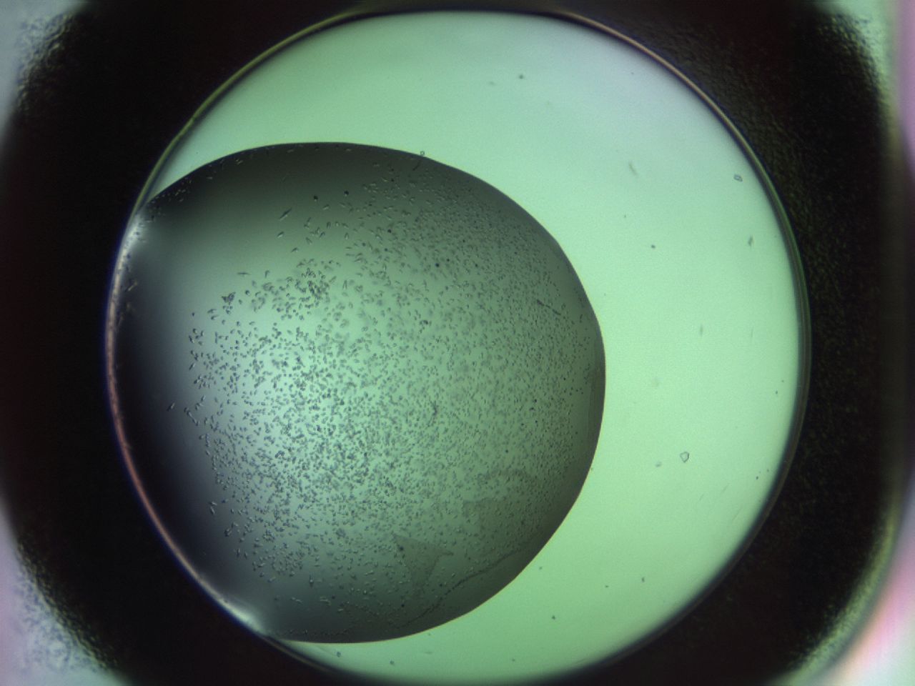 02kw_B7_ImagerDefaults_9.jpg
