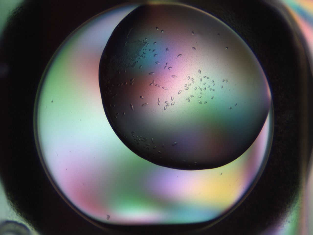 02kw_F10_ImagerDefaults_9.jpg