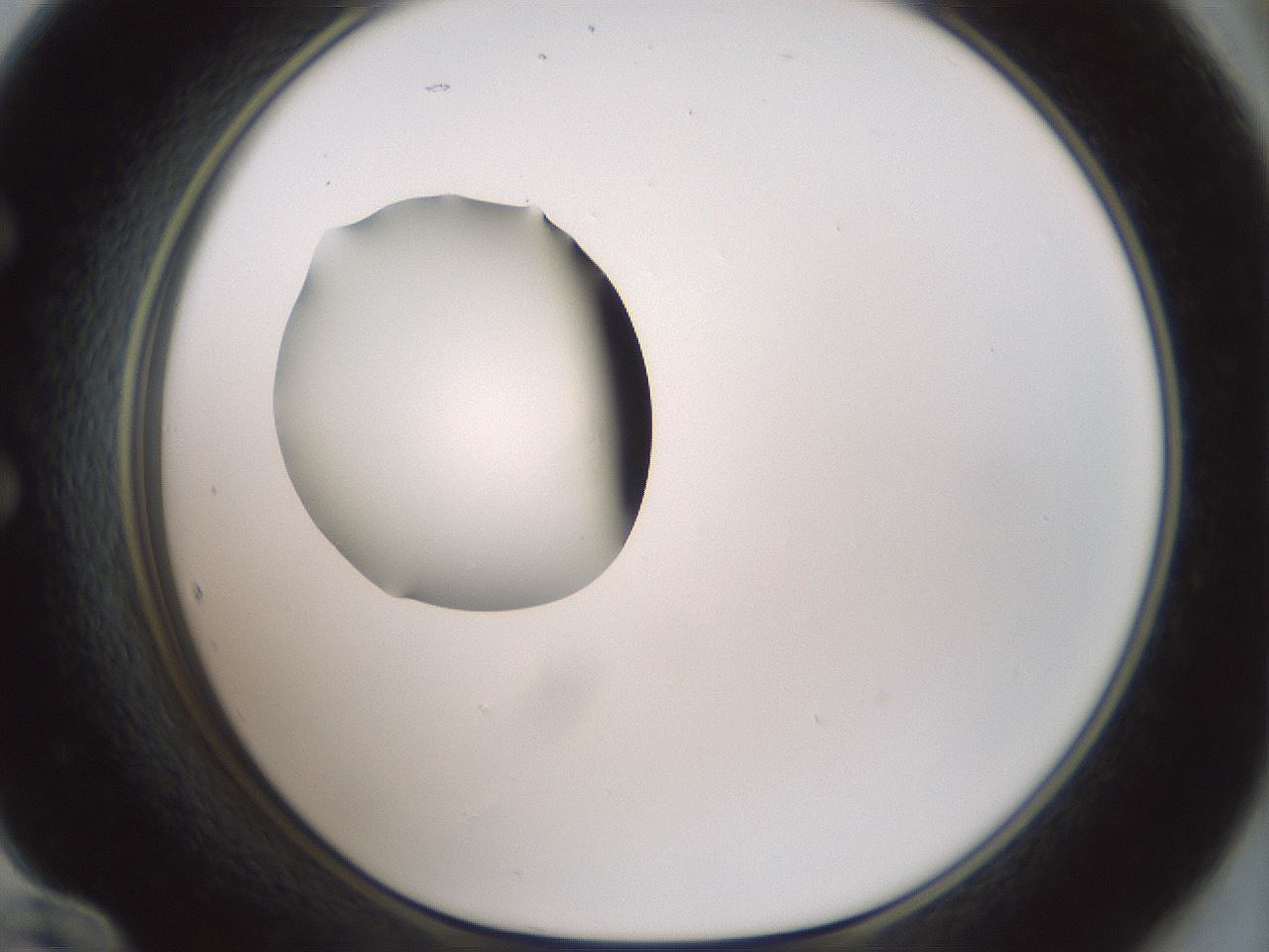 folderID409_plateID1409_batchID5184_wellNum60_profileID1_d1_r86477_ef.jpg