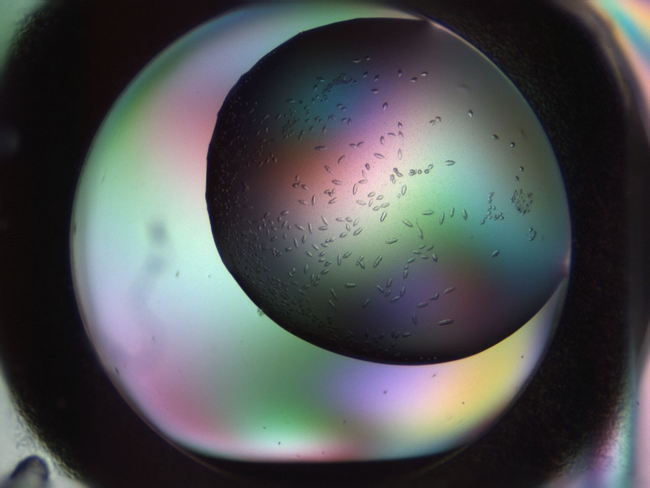 02kw_F11_ImagerDefaults_9.jpg