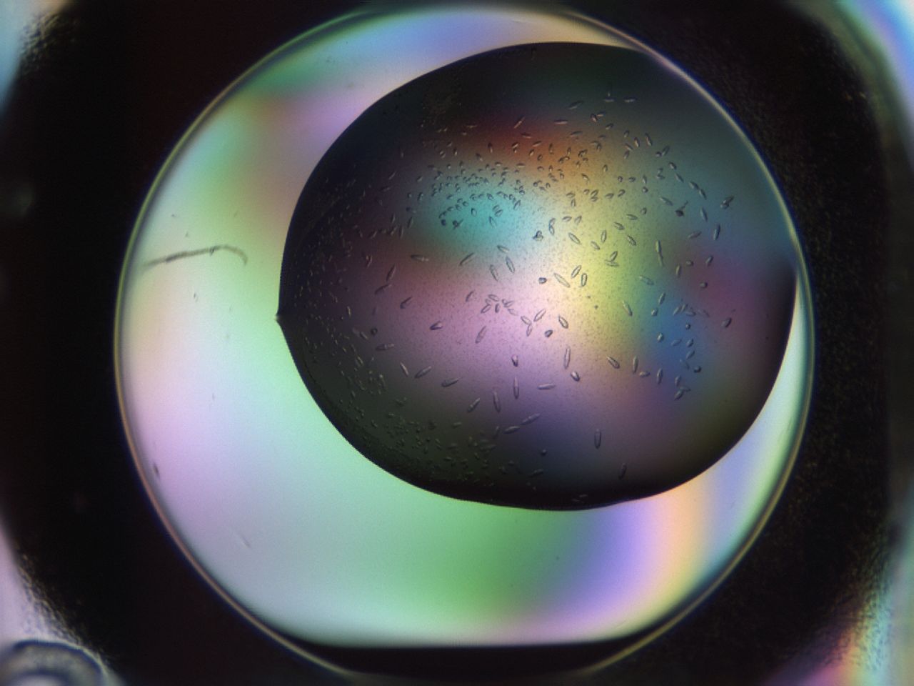 02kw_F12_ImagerDefaults_9.jpg