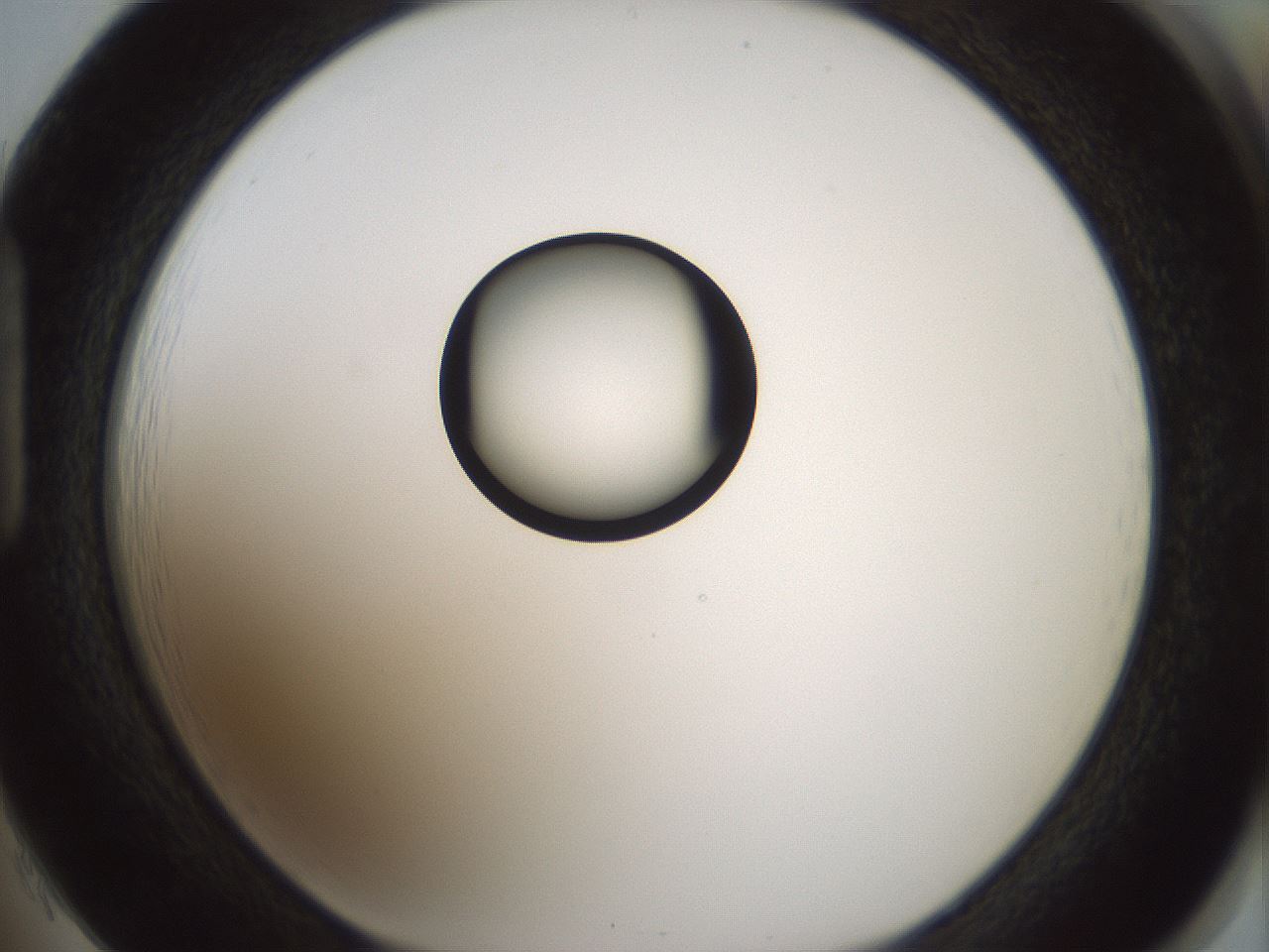 folderID409_plateID1409_batchID5184_wellNum85_profileID1_d1_r86502_ef.jpg
