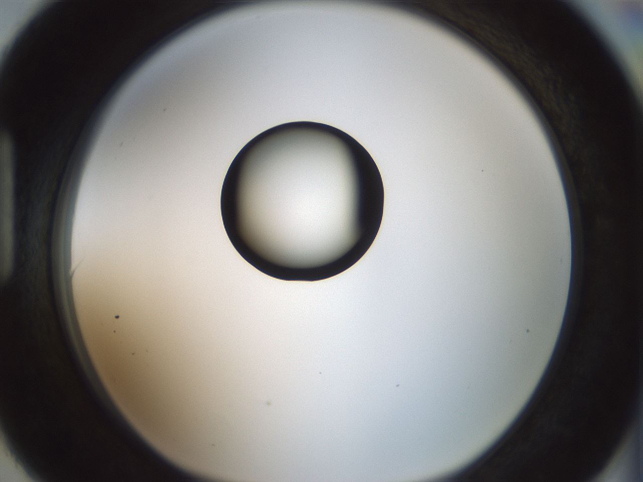 folderID409_plateID1409_batchID5184_wellNum90_profileID1_d1_r86507_ef.jpg