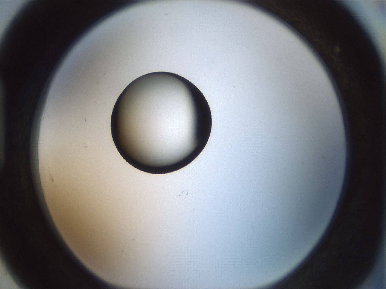 folderID409_plateID1409_batchID5184_wellNum91_profileID1_d1_r86508_ef.jpg