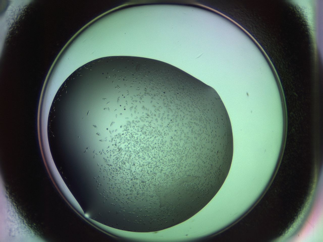 02kw_B8_ImagerDefaults_9.jpg