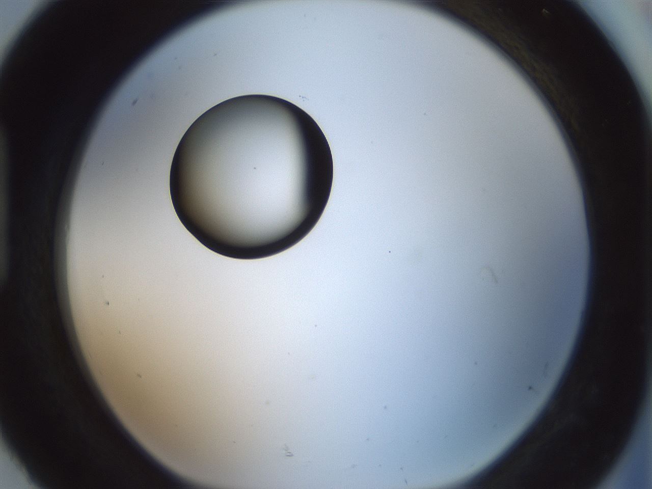folderID409_plateID1409_batchID5184_wellNum92_profileID1_d1_r86509_ef.jpg