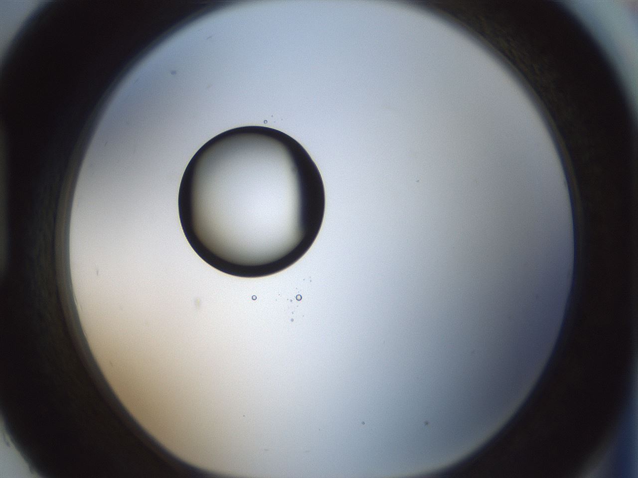 folderID409_plateID1409_batchID5184_wellNum93_profileID1_d1_r86510_ef.jpg